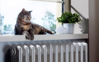 How to Maintain Your HVAC System if You Have Pets